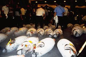 落ち着きの空間が魅力な難波のシーシャ店