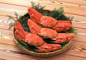 2025年最新版：紅茶ギフト専門店を選ぶポイントとおすすめベスト10