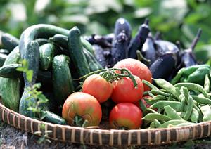 セルフカフェ・スイーツでくつろぎのひとときを！広々空間と多彩なメニューを楽しめる高崎市の憩いの場