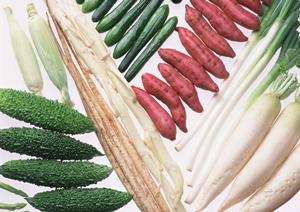 六本木のシェイクシャック – 魅力的なアメリカンダイナー体験