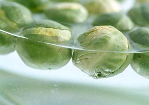 仙台グルメの極み！絶対に行くべきおすすめレストラン10選