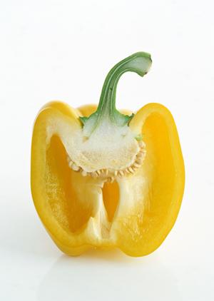 本物を味わえるshishaカフェ