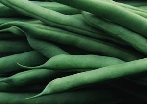 断食期間を成功させるためのポイントと注意点