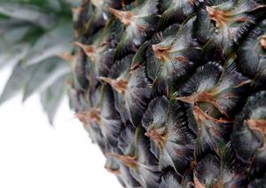 世界のビール博物館 グランフロント大阪店 – 異国のビールと料理を楽しむ場