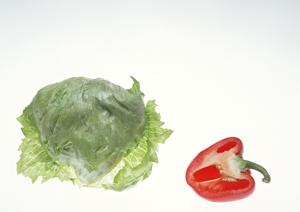 静岡のレストラン「クロスロード」で特別なひとときを